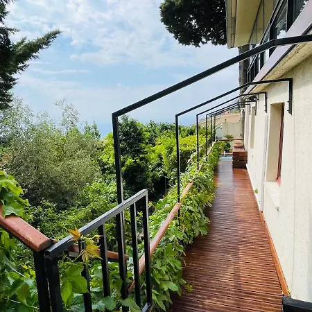Villa Luxe Vue & Monte-carlo *